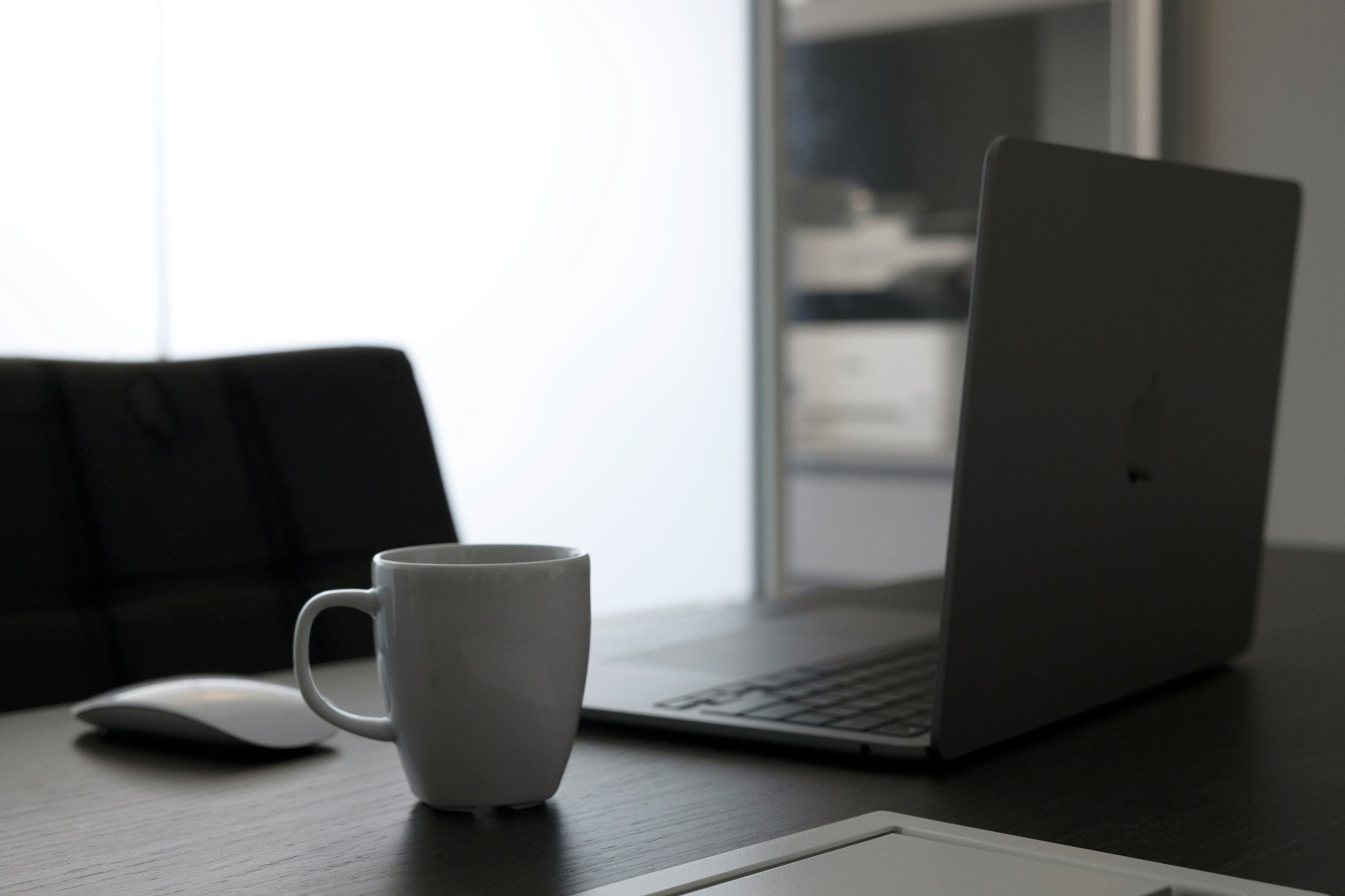 What Do Investors Look for in Startups?